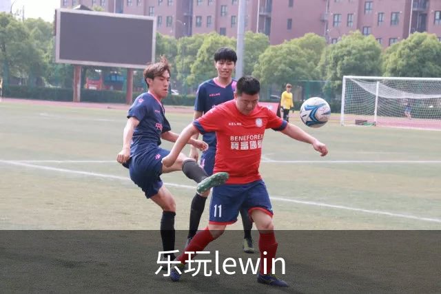 乐玩lewin 公司简介